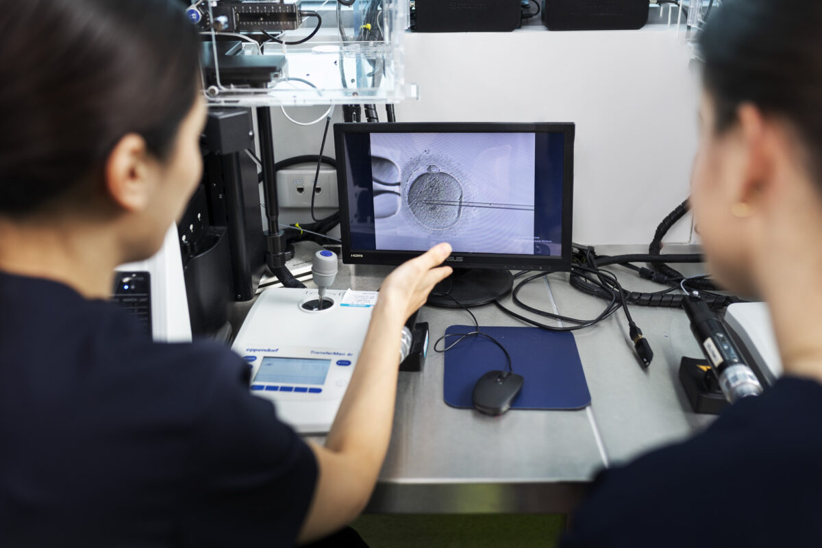 Two embryologists performing the intracytoplasmic sperm injection procedure.