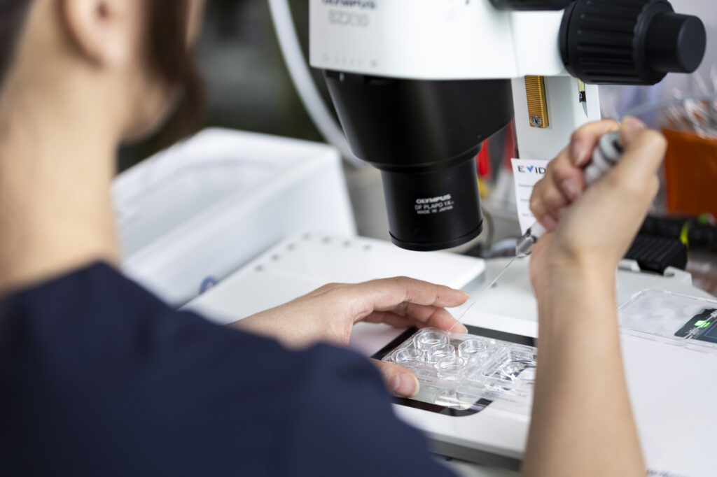 Embryologist examining cells under the microscope